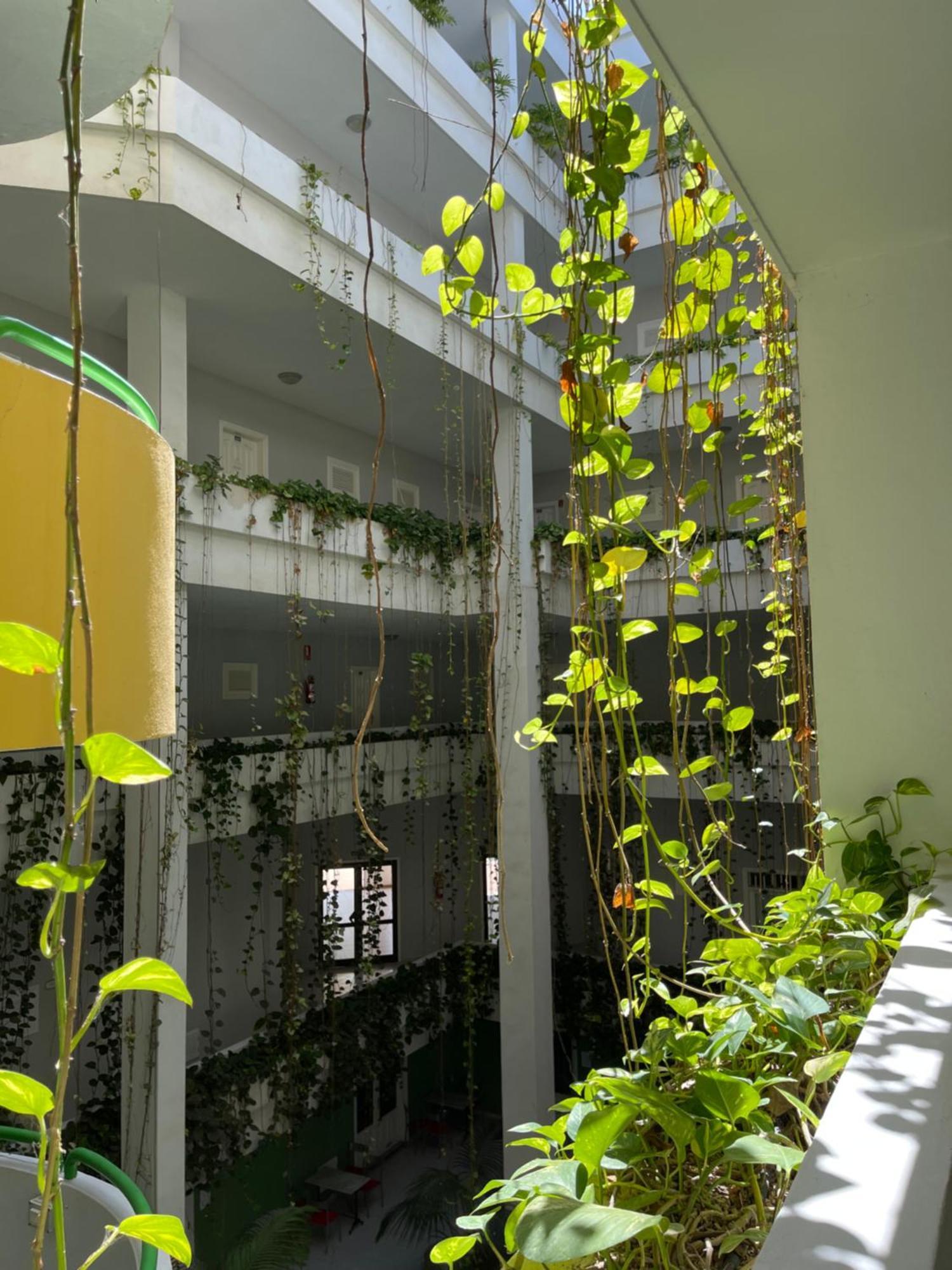 Apartmán Bahia I Puerto de la Cruz  Exteriér fotografie
